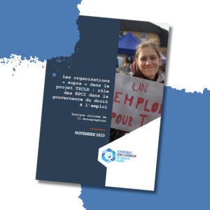 PUBLICATION TZCLD - Rôle des EPCI dans la gouvernance du droit à l’emploi
