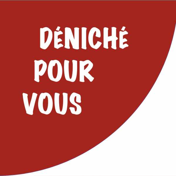 Fiche Déniché pour vous n°108 : Ressourcerie Terre d'Éco