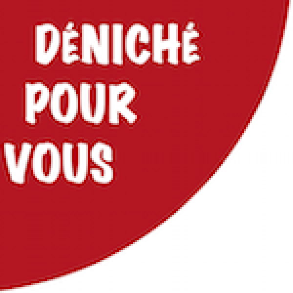 dpv logo