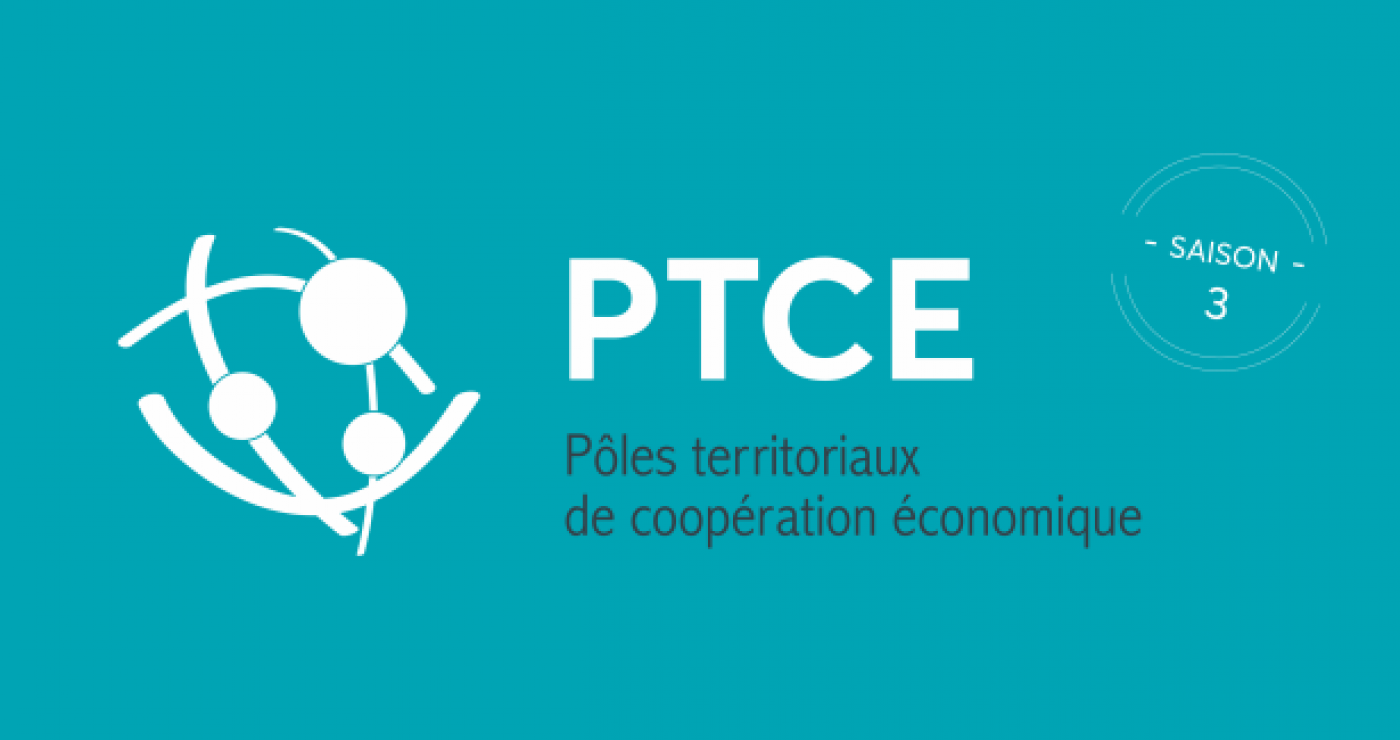 pôles territoriaux de coopération économique (PTCE)