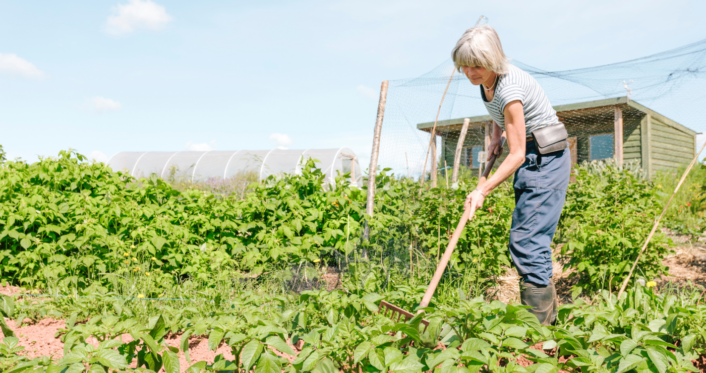 Bordeaux Métropole : Des maraîchers bio recherchés pour s'installer sur 11 hectares, sur la rive droite