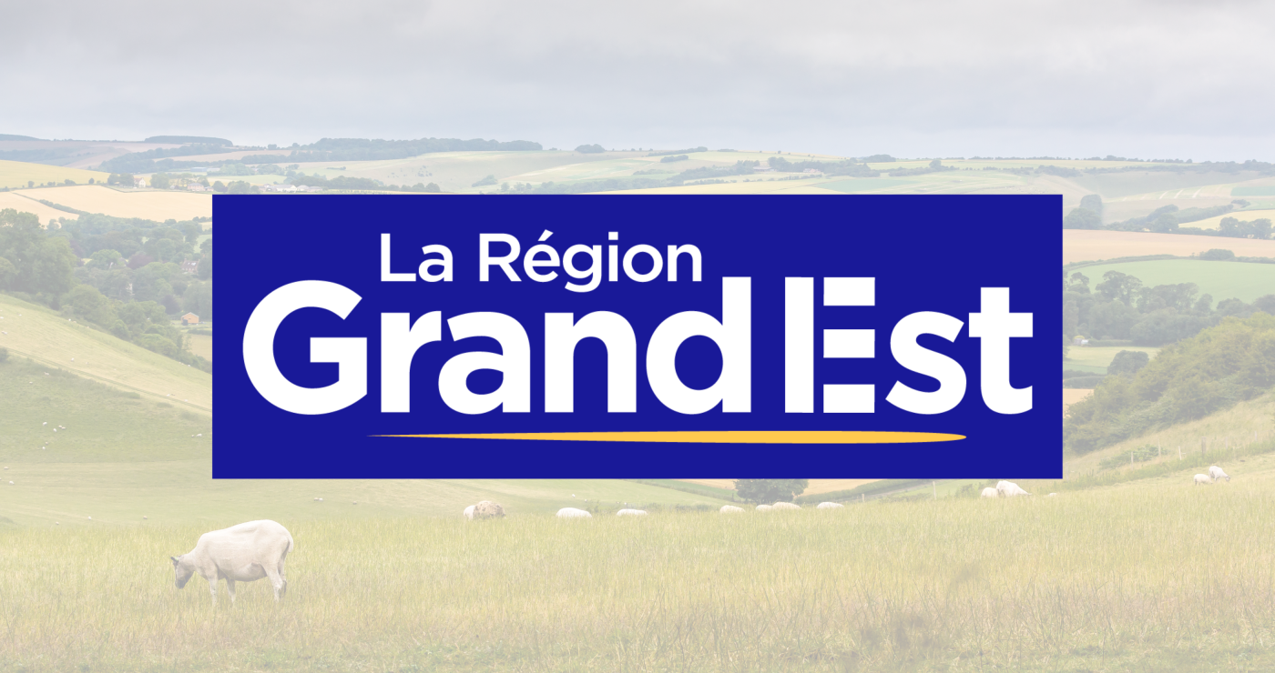 Dispositif « ELAN Ruralité/Villages en fête » de la Région Grand Est visant à soutenir la vie associative dans les territoires ruraux