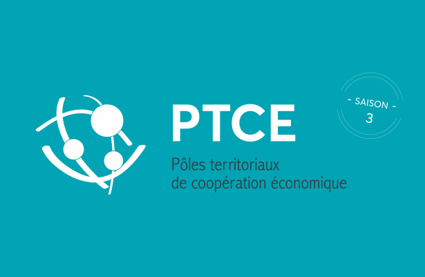 pôles territoriaux de coopération économique (PTCE)