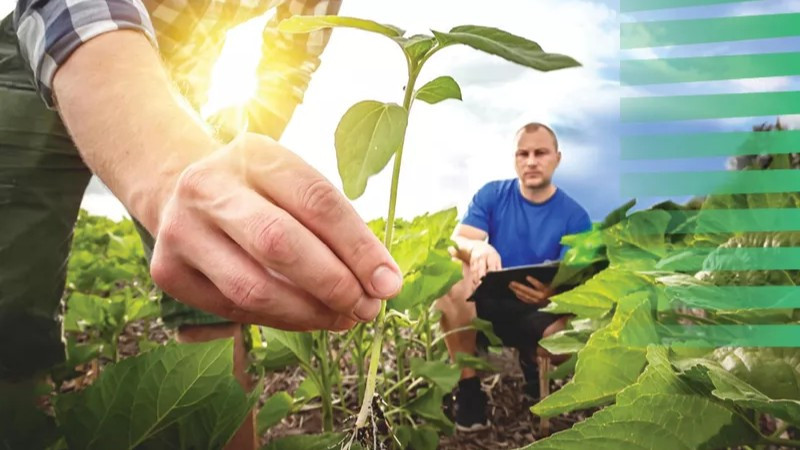 La Commission européenne lance une nouvelle vision pour l'agriculture et l'alimentation