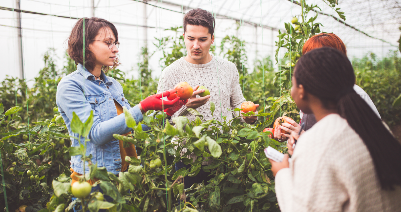 Agriculture durable, d'insertion et de proximité : signature d'un bail agricole entre une association et la commune de Mouans-Sartoux
