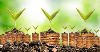 Le Fonds Vert, un outil à disposition des collectivités pour faire appel aux acteur de l'ESS