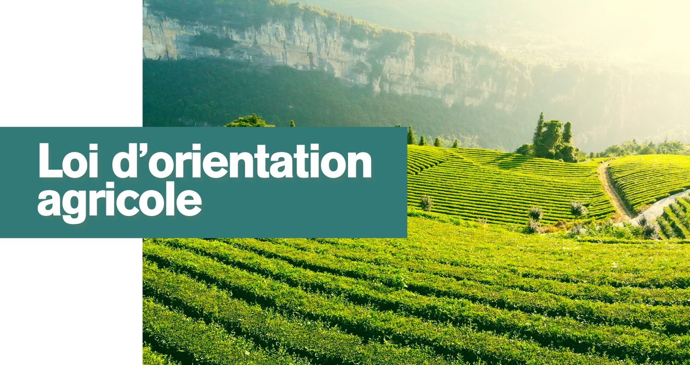 Une loi d’orientation agricole adoptée avant le Salon de l'agriculture, pric